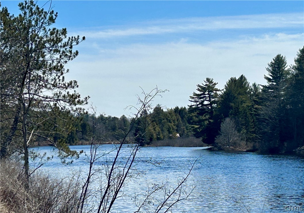 173 Reed Lane Boonville, NY 13309 - Photo 30 of 30