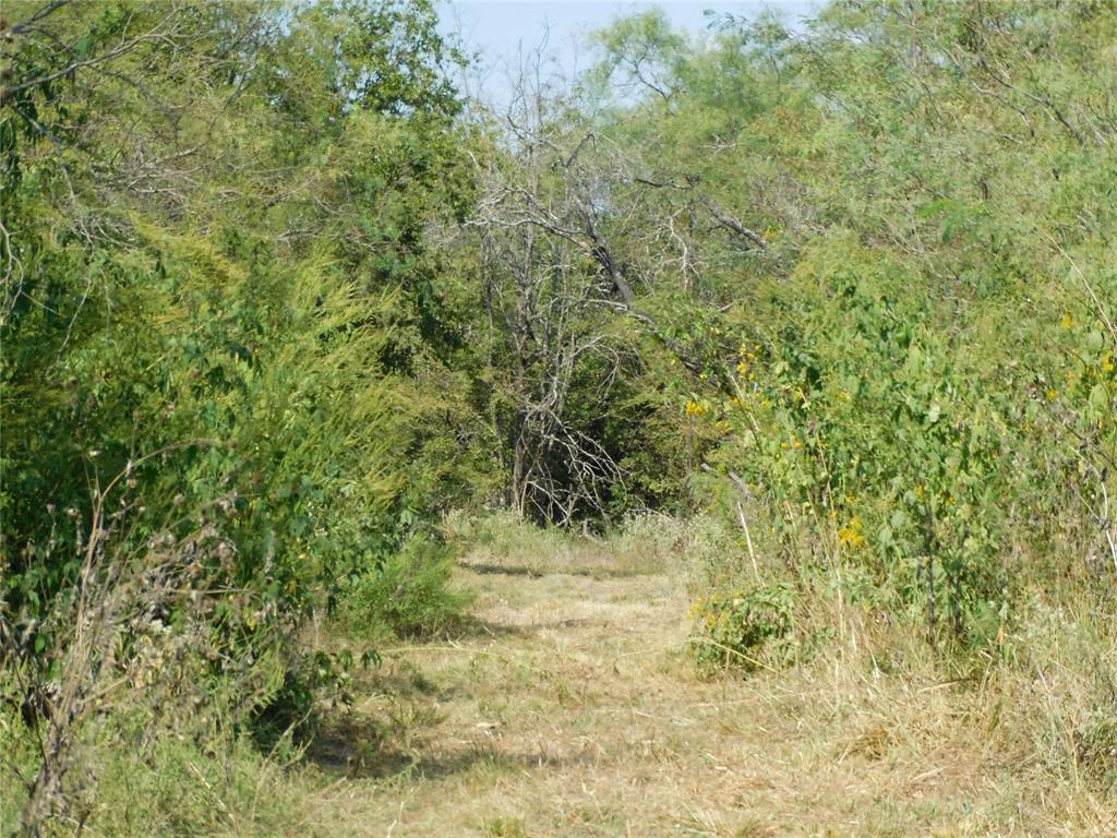 451 Hcr3335 Road Hubbard, TX 76648 - Photo 14 of 20