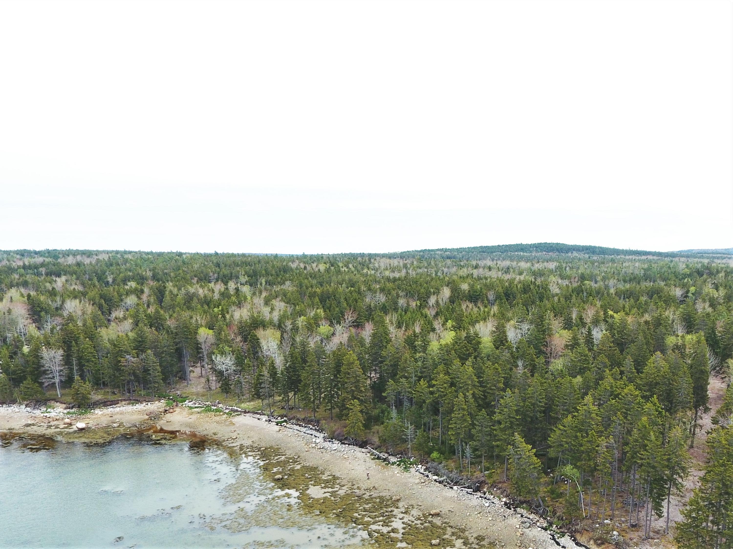 128 Estates Road Steuben, ME 04680 - Photo 13 of 35 DJI_0453 (2)