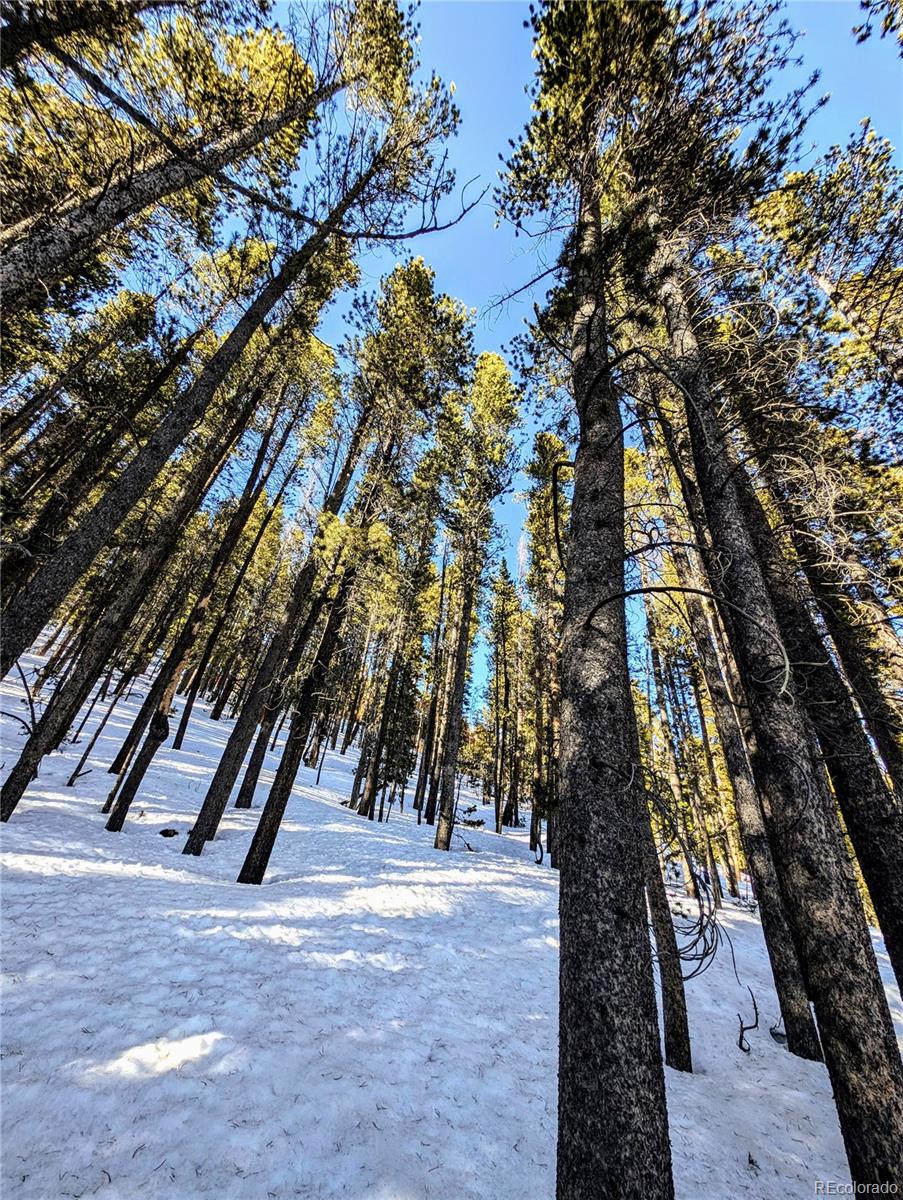 Lot 677 Alice Road Idaho Springs, CO 80452 - Photo 11 of 17