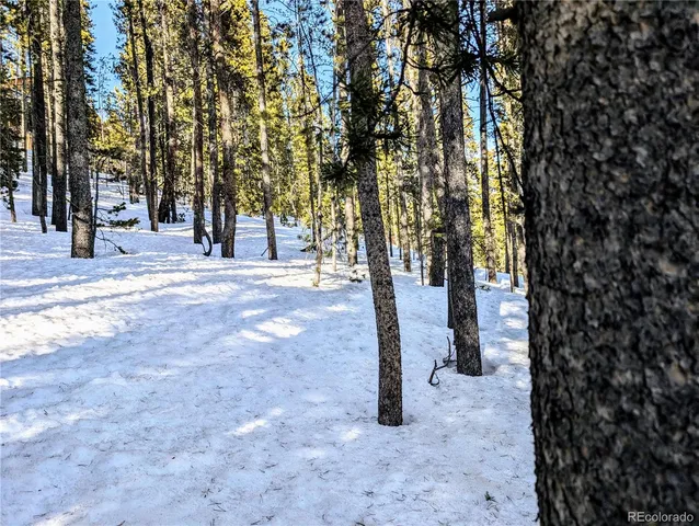 $27,960 | Lot 677 Alice Road, Idaho Springs, CO 80452