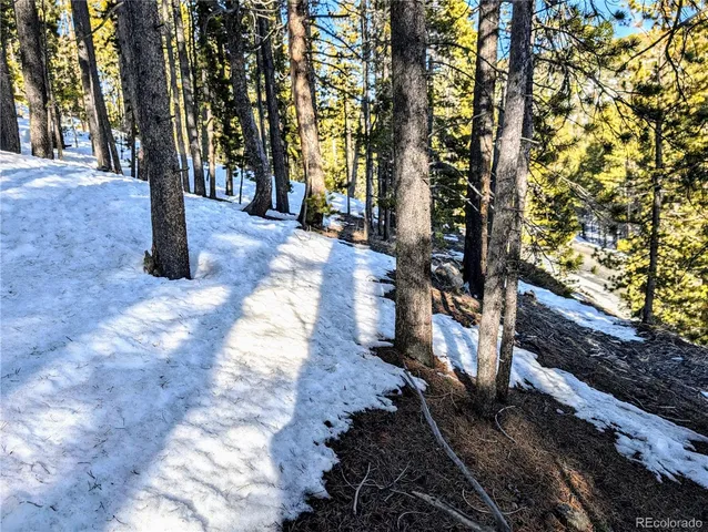 $27,960 | Lot 677 Alice Road, Idaho Springs, CO 80452