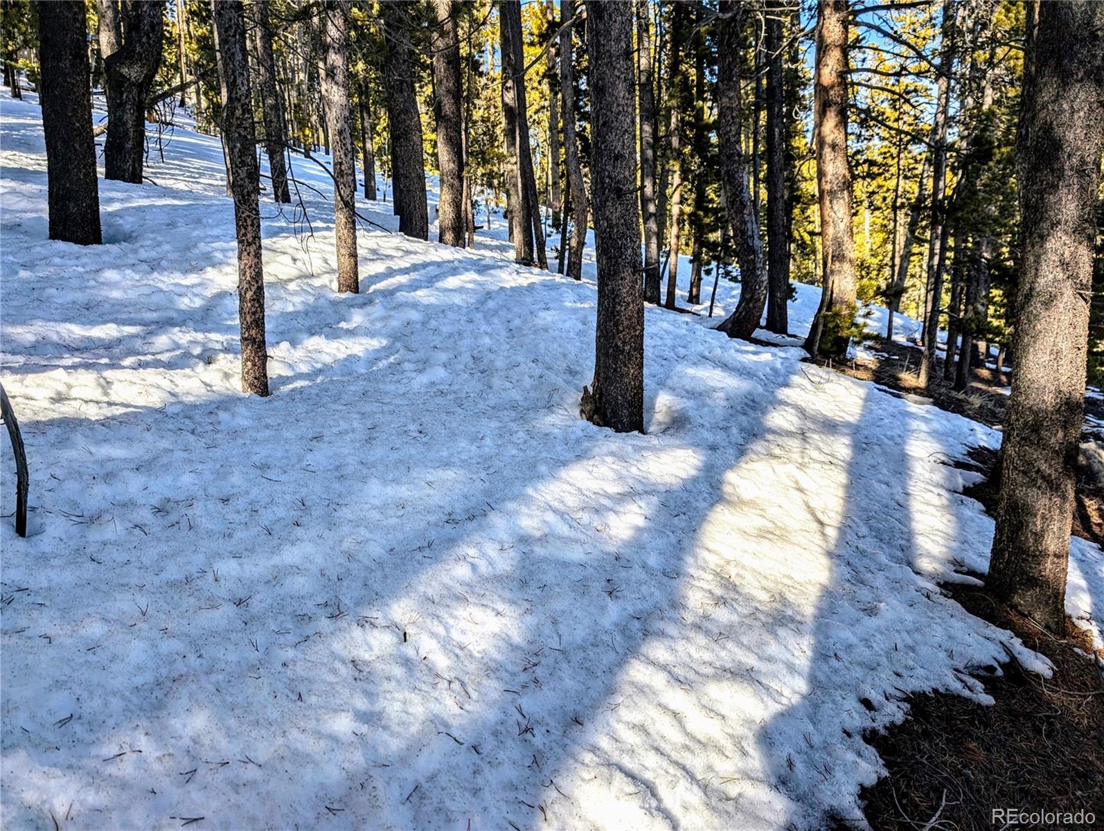 Lot 677 Alice Road Idaho Springs, CO 80452 - Photo 14 of 17