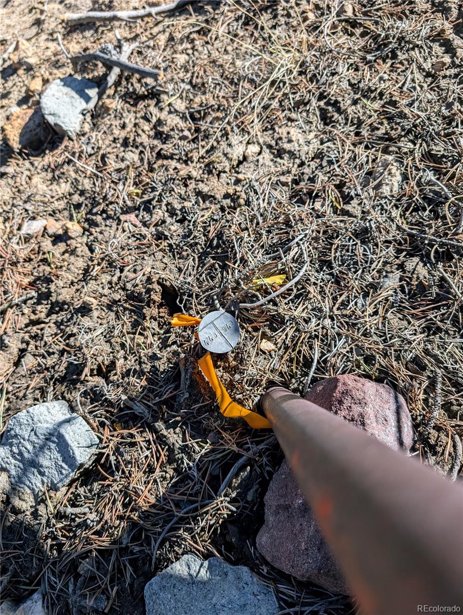 Lot 677 Alice Road Idaho Springs, CO 80452 - Photo 17 of 17