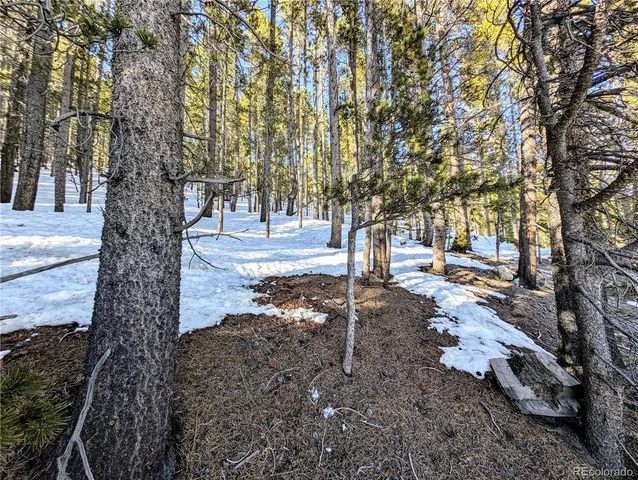$27,960 | Lot 677 Alice Road, Idaho Springs, CO 80452