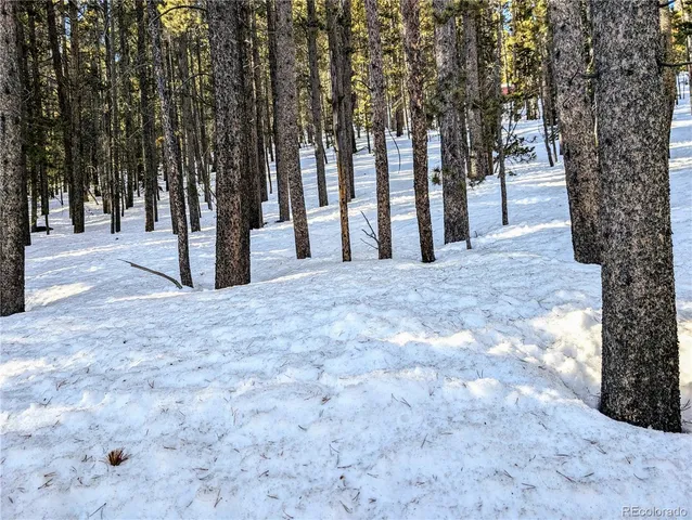 $27,960 | Lot 677 Alice Road, Idaho Springs, CO 80452