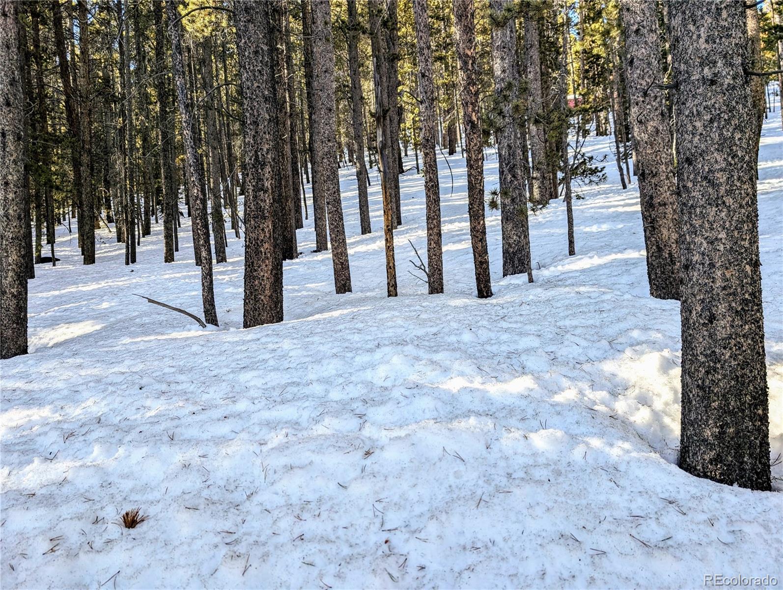 Lot 677 Alice Road Idaho Springs, CO 80452 - Photo 3 of 17