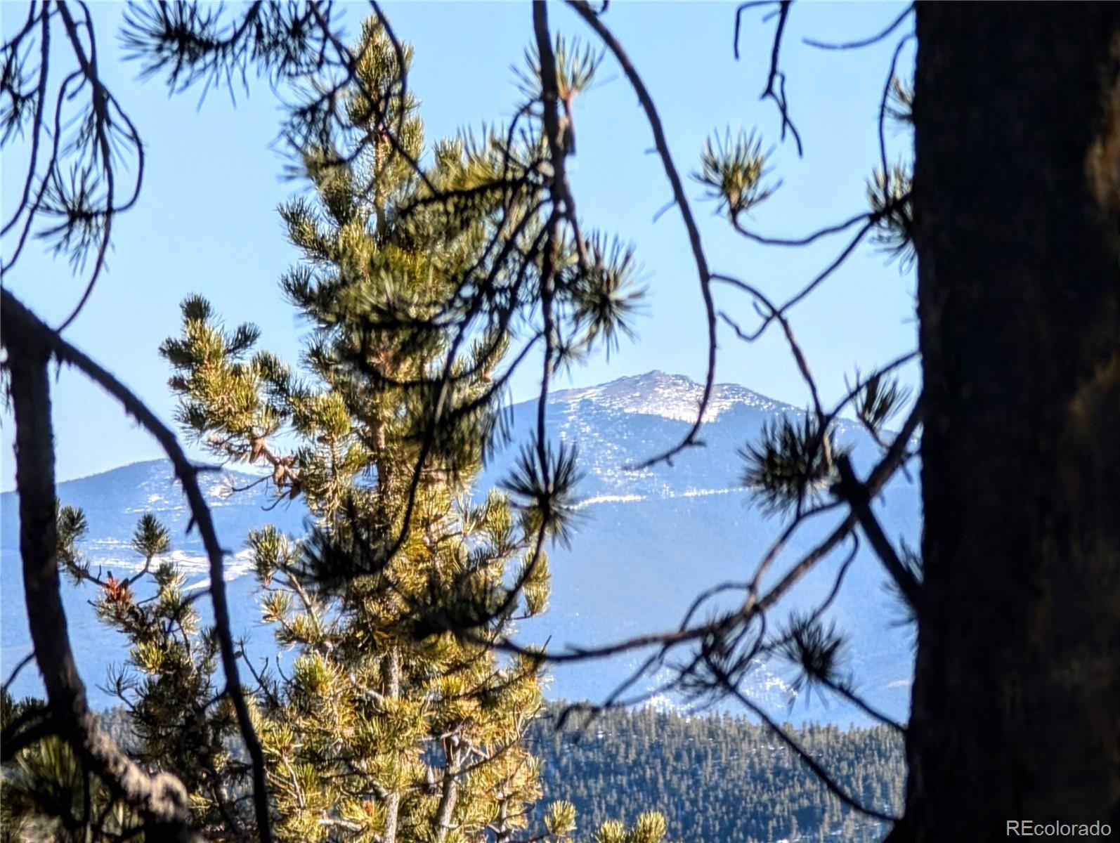 Lot 677 Alice Road Idaho Springs, CO 80452 - Photo 5 of 17