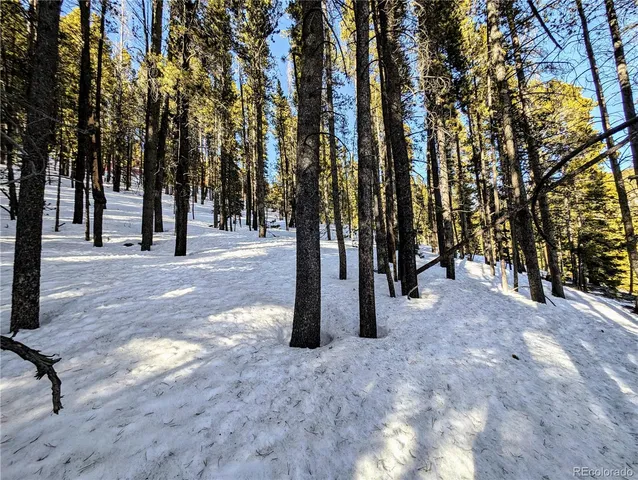 $27,960 | Lot 677 Alice Road, Idaho Springs, CO 80452