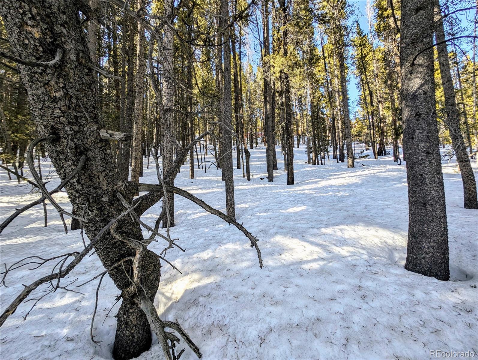 Lot 677 Alice Road Idaho Springs, CO 80452 - Photo 9 of 17