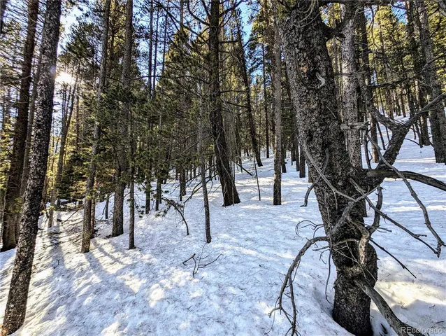 $27,960 | Lot 677 Alice Road, Idaho Springs, CO 80452