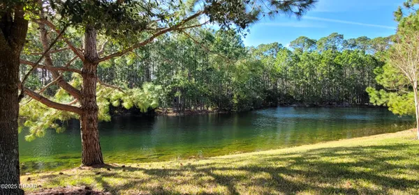 a view of a lake view with a large tree