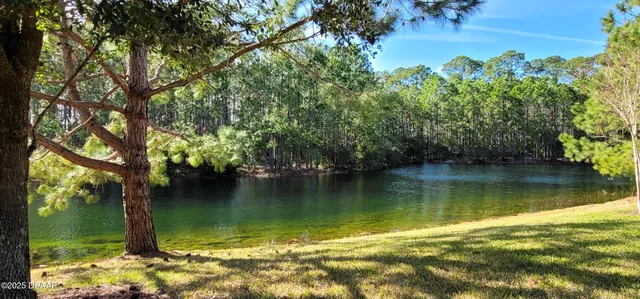 a view of a lake view with a large tree