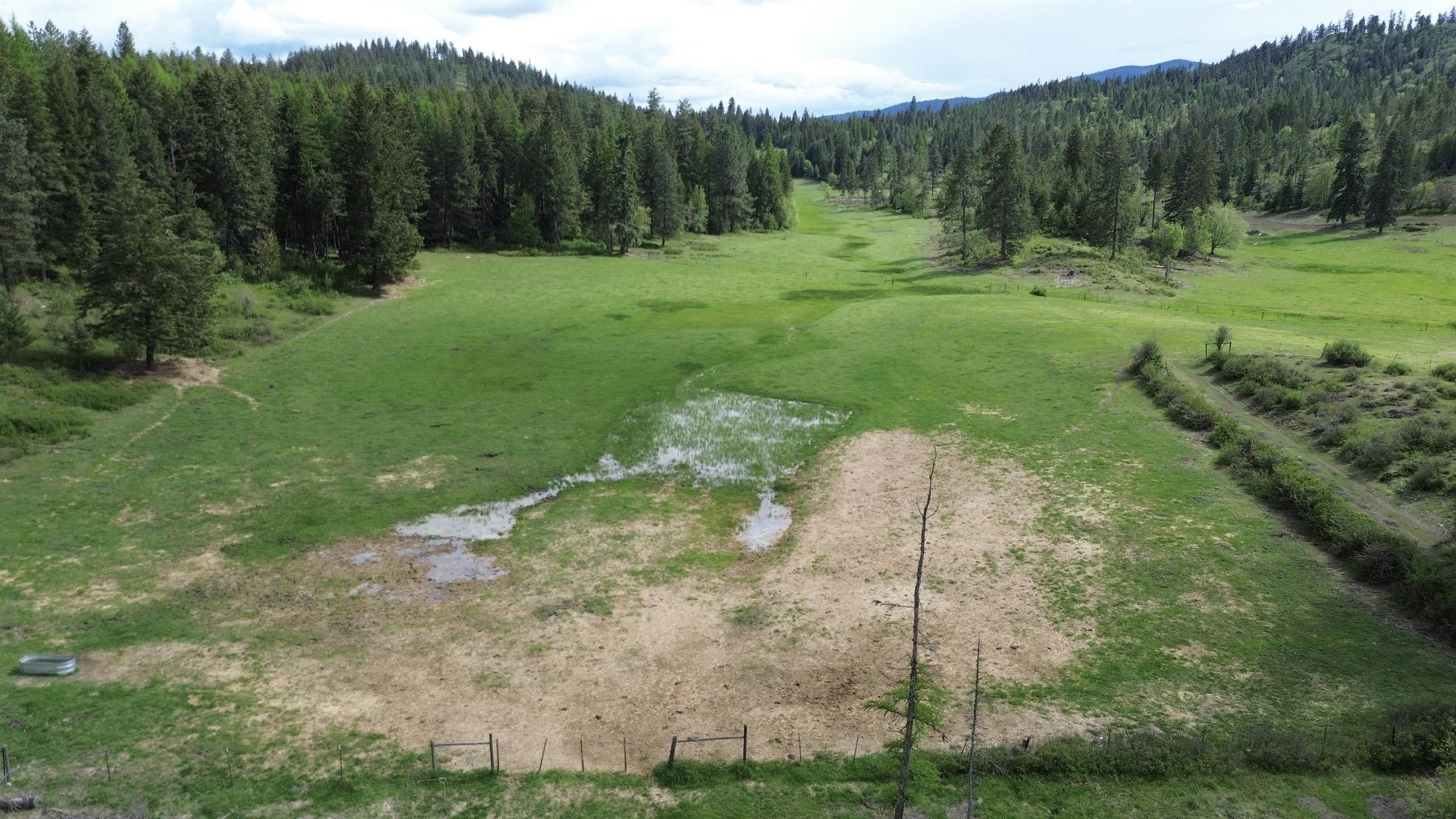 935 Arden Hill Road Colville, WA 99114 - Photo 42 of 46