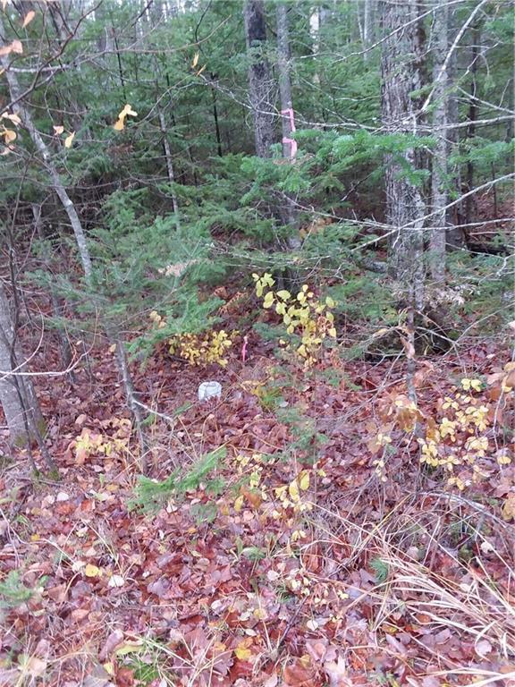 1320 Manktown Road Waldoboro, ME 04572 - Photo 2 of 5 North west corner stake at Rd.