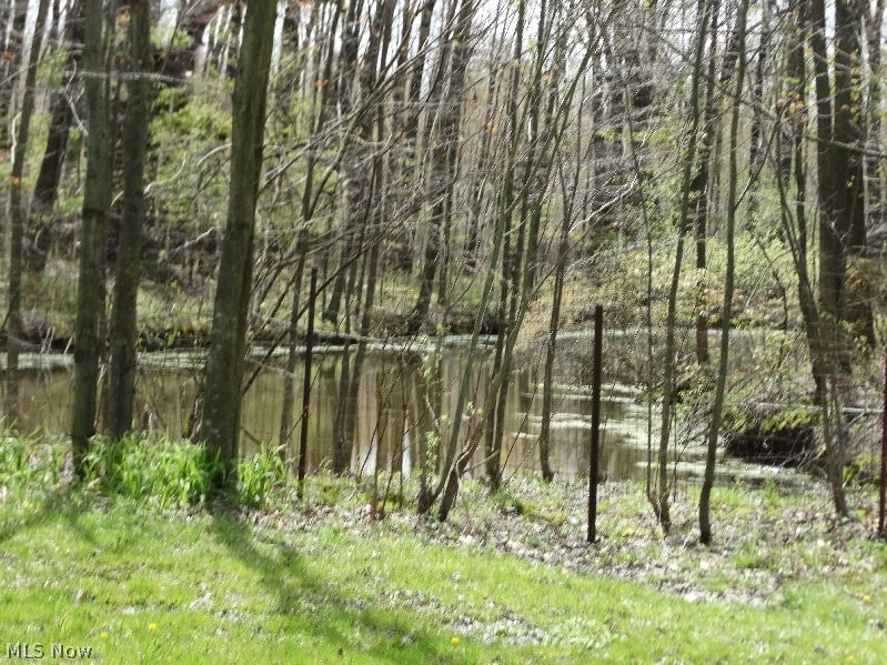 870 Webster Road Jefferson, OH 44047 - Photo 24 of 25 Pond and trees
