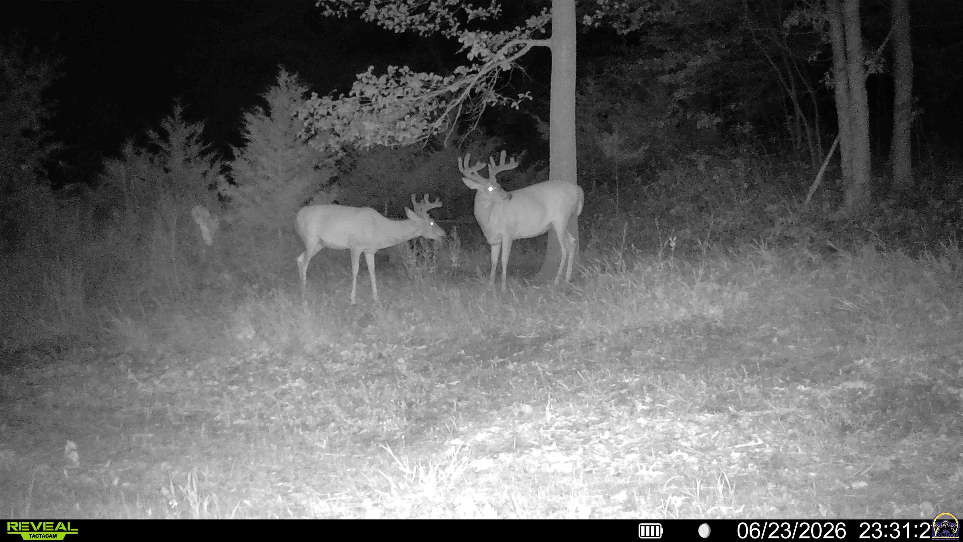 1757 Buck Creek Road Perry, KS 66073 - Photo 89 of 90