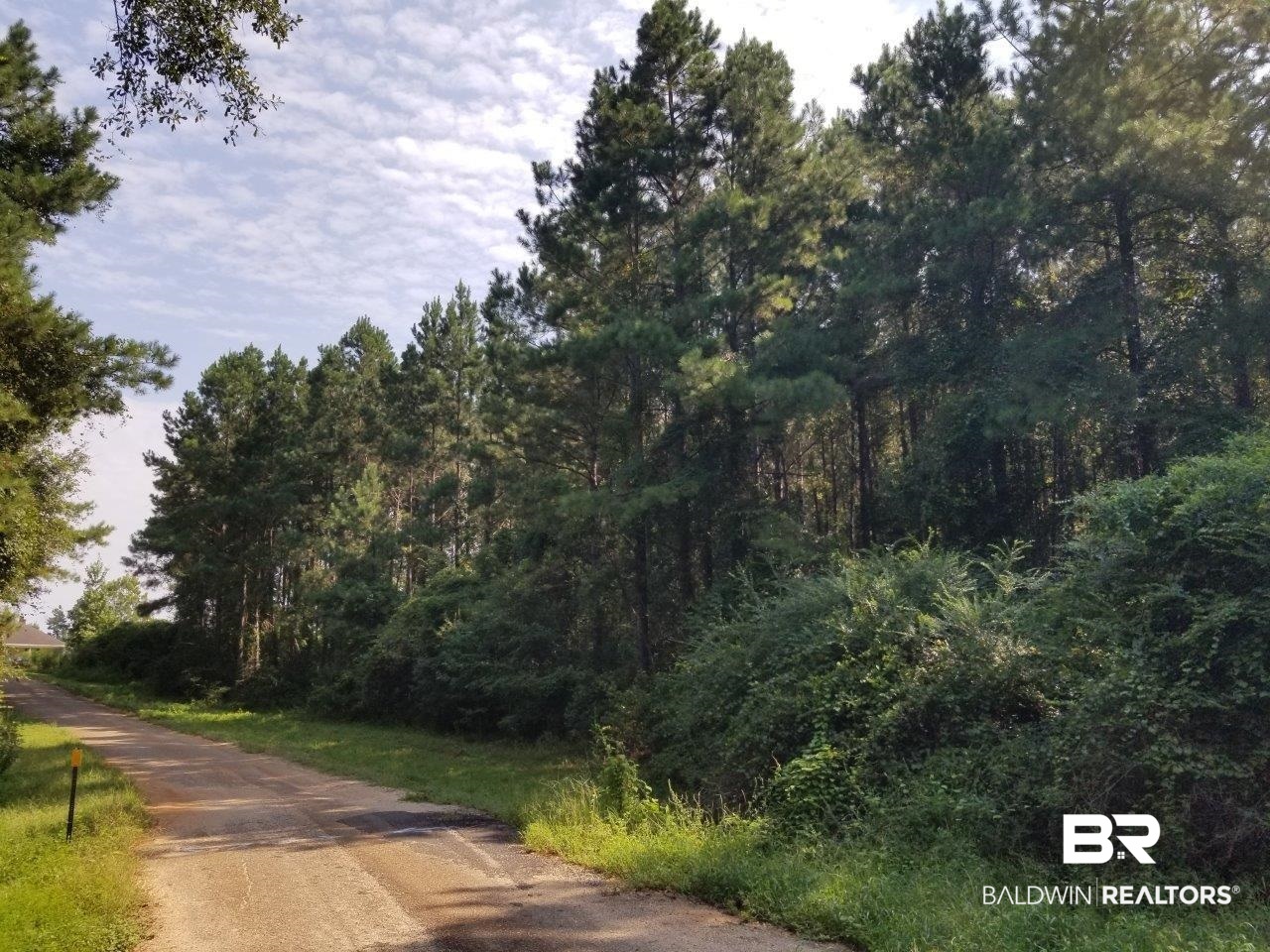 0 Jerkins Loop Atmore, AL 36502 - Photo 18 of 50