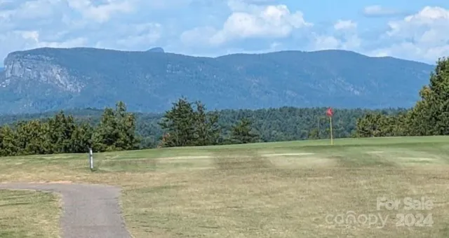 a view of a field with a yard