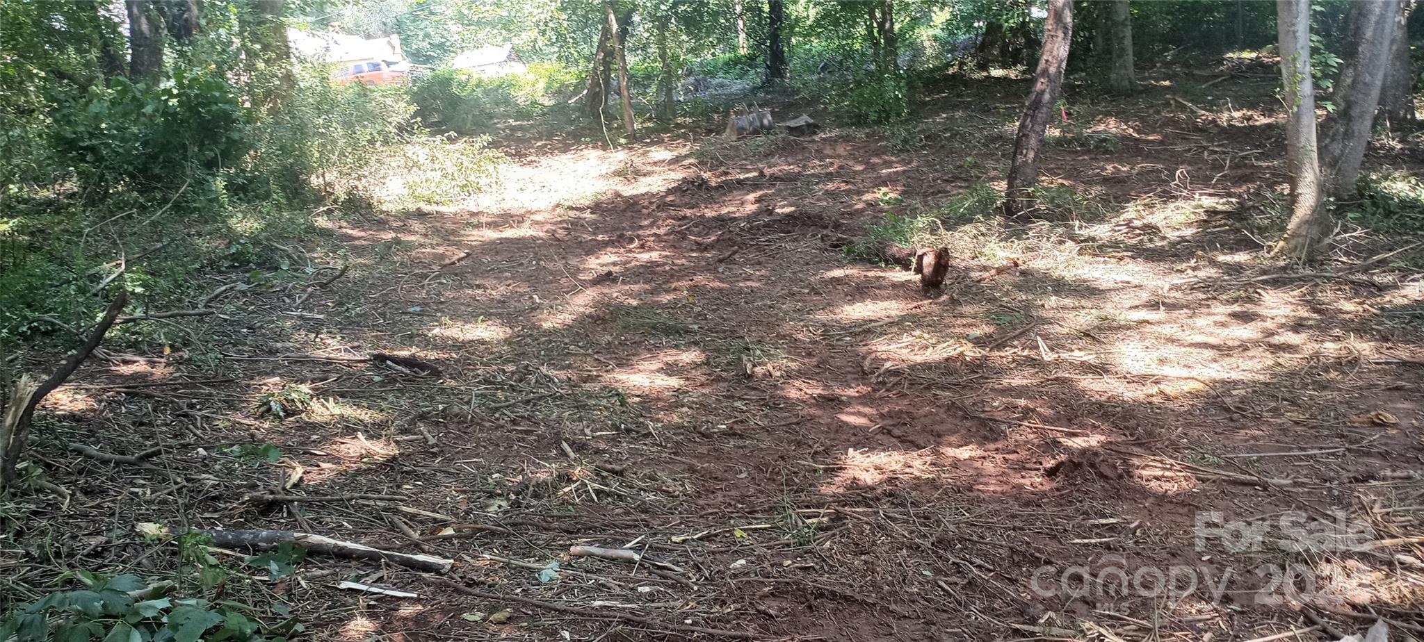 8888 Reep Drive, Unit 2 Morganton, NC 28655 - Photo 19 of 26 a view of a tree in a yard