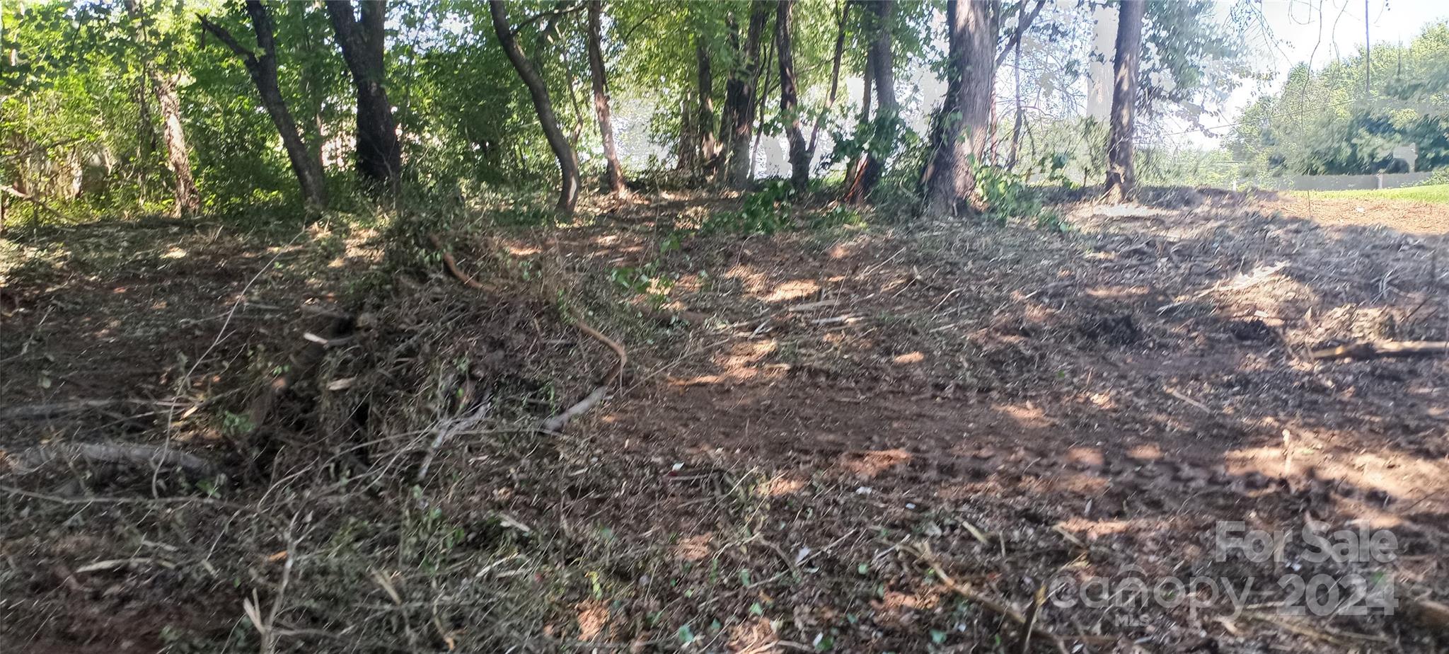 8888 Reep Drive, Unit 2 Morganton, NC 28655 - Photo 20 of 26 a view of outdoor space with trees
