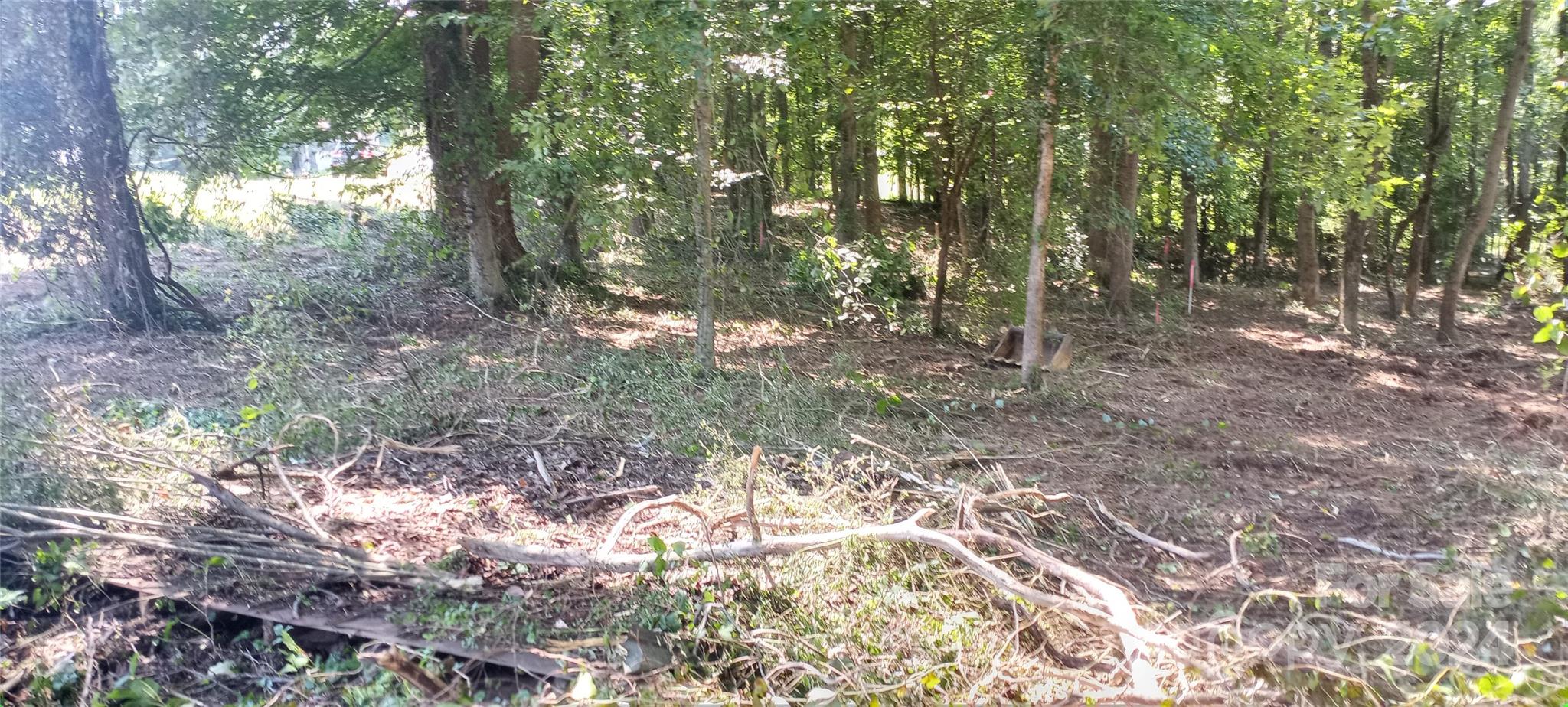 8888 Reep Drive, Unit 2 Morganton, NC 28655 - Photo 22 of 26 a view of a forest with trees