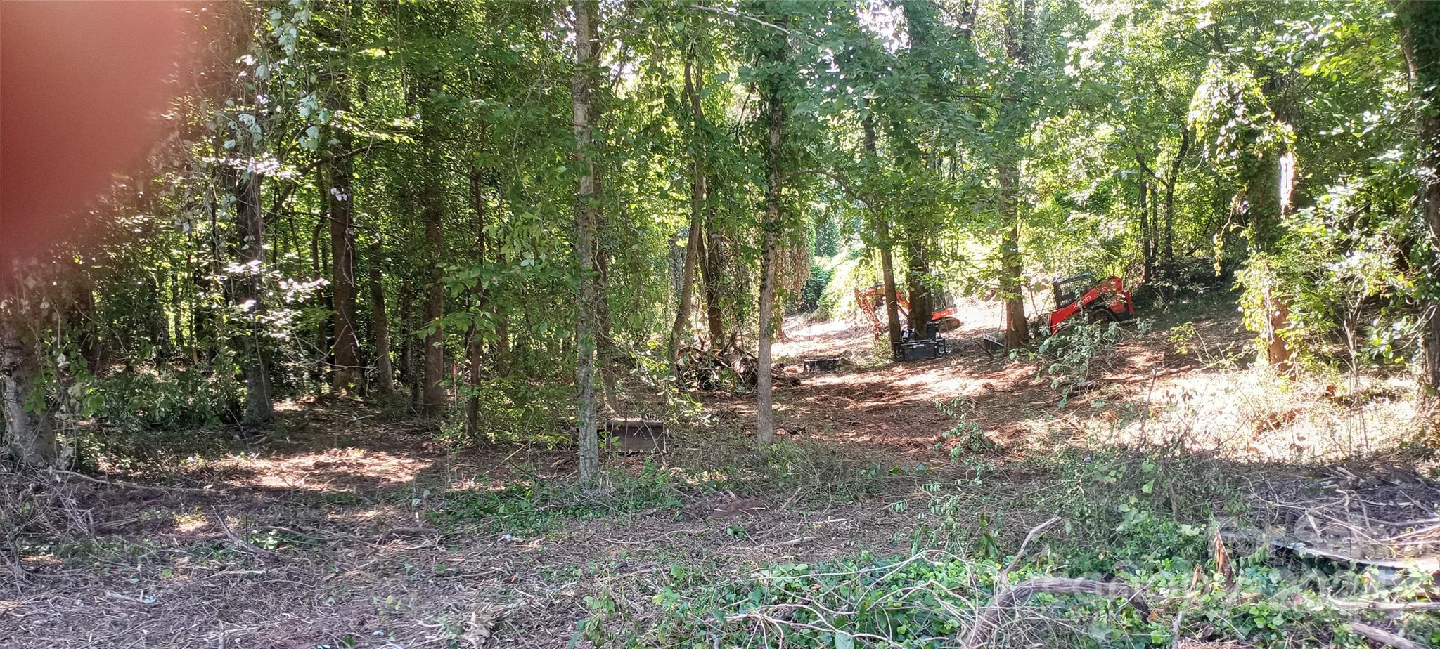 8888 Reep Drive, Unit 2 Morganton, NC 28655 - Photo 25 of 26 a view of a forest with trees in the background