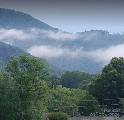 8888 Reep Drive, Unit 2 Morganton, NC 28655 - Photo 7 of 26 an aerial view of residential houses with outdoor space and trees