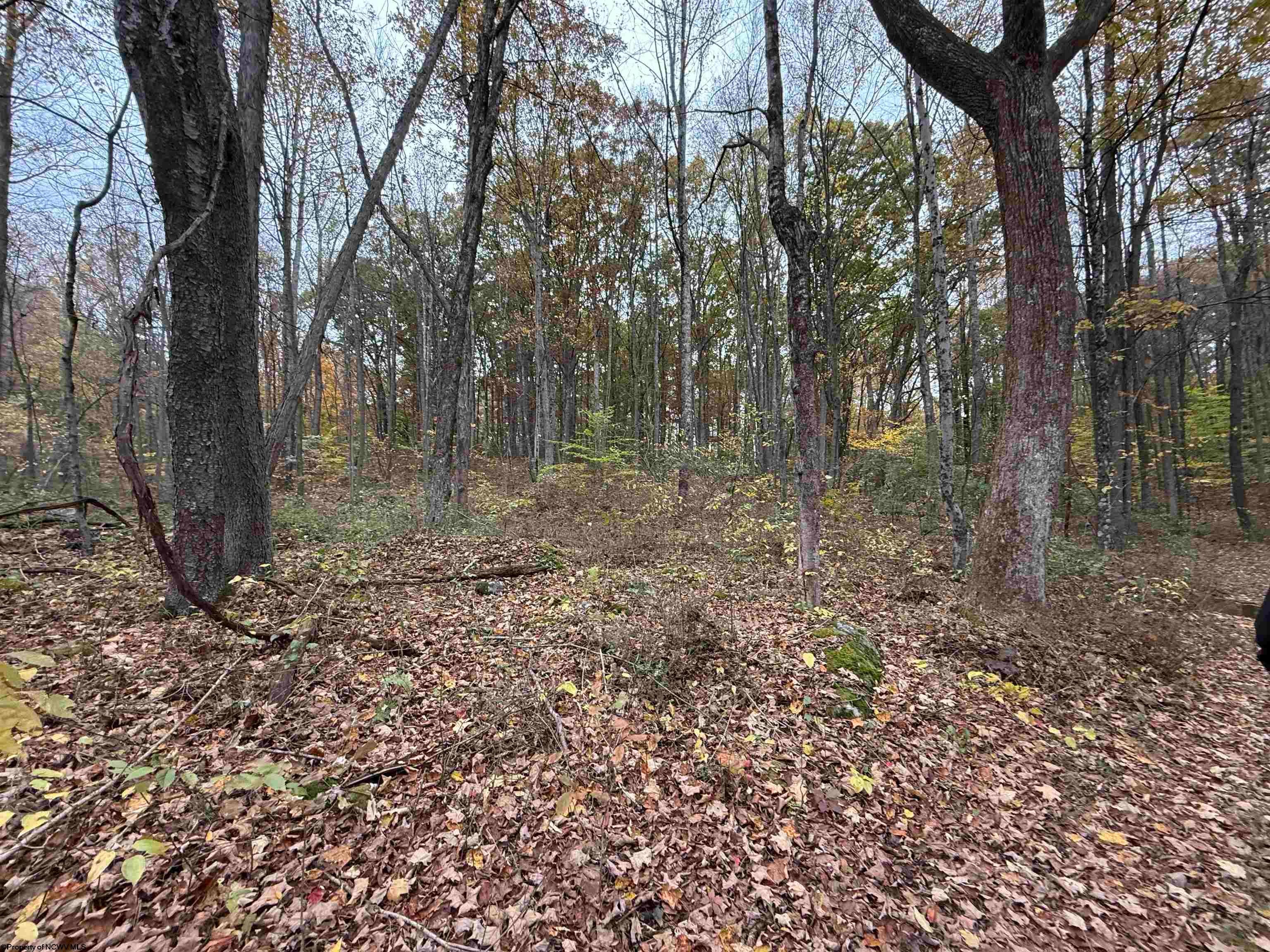 0 Riggins Kingwood, WV 26537 - Photo 31 of 40 Gallery Image 31