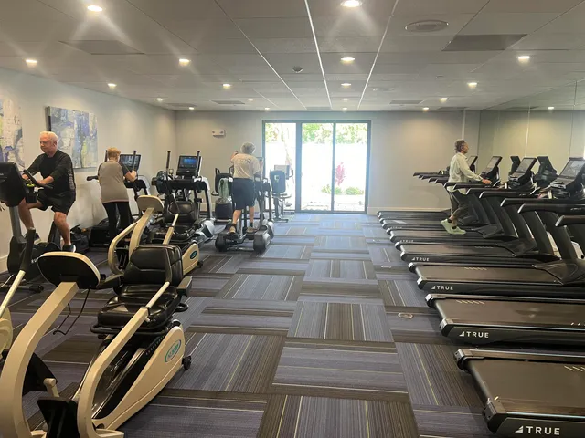 a living room with patio furniture and a potted plant