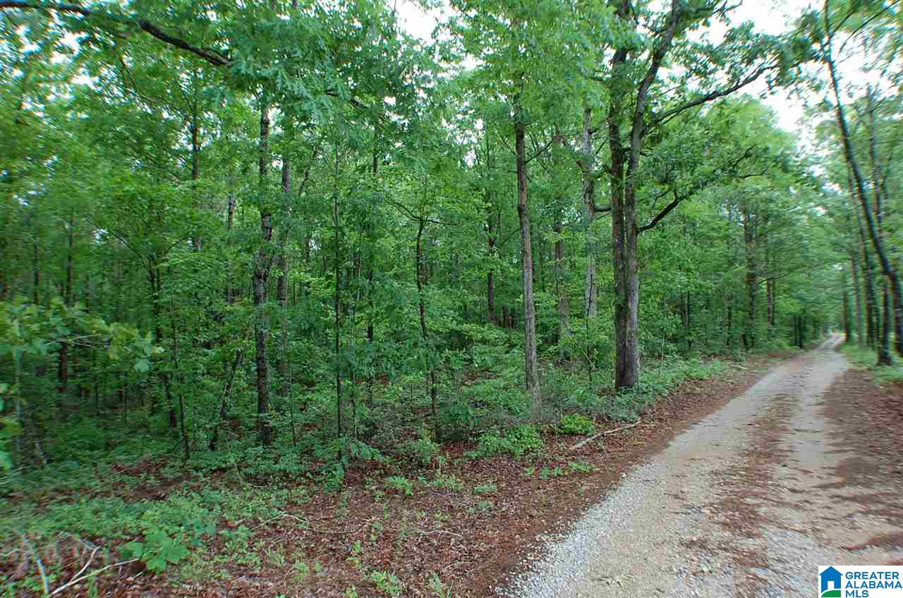 950 County Road 478, Unit 1 Clanton, AL 35046 - Photo 21 of 31