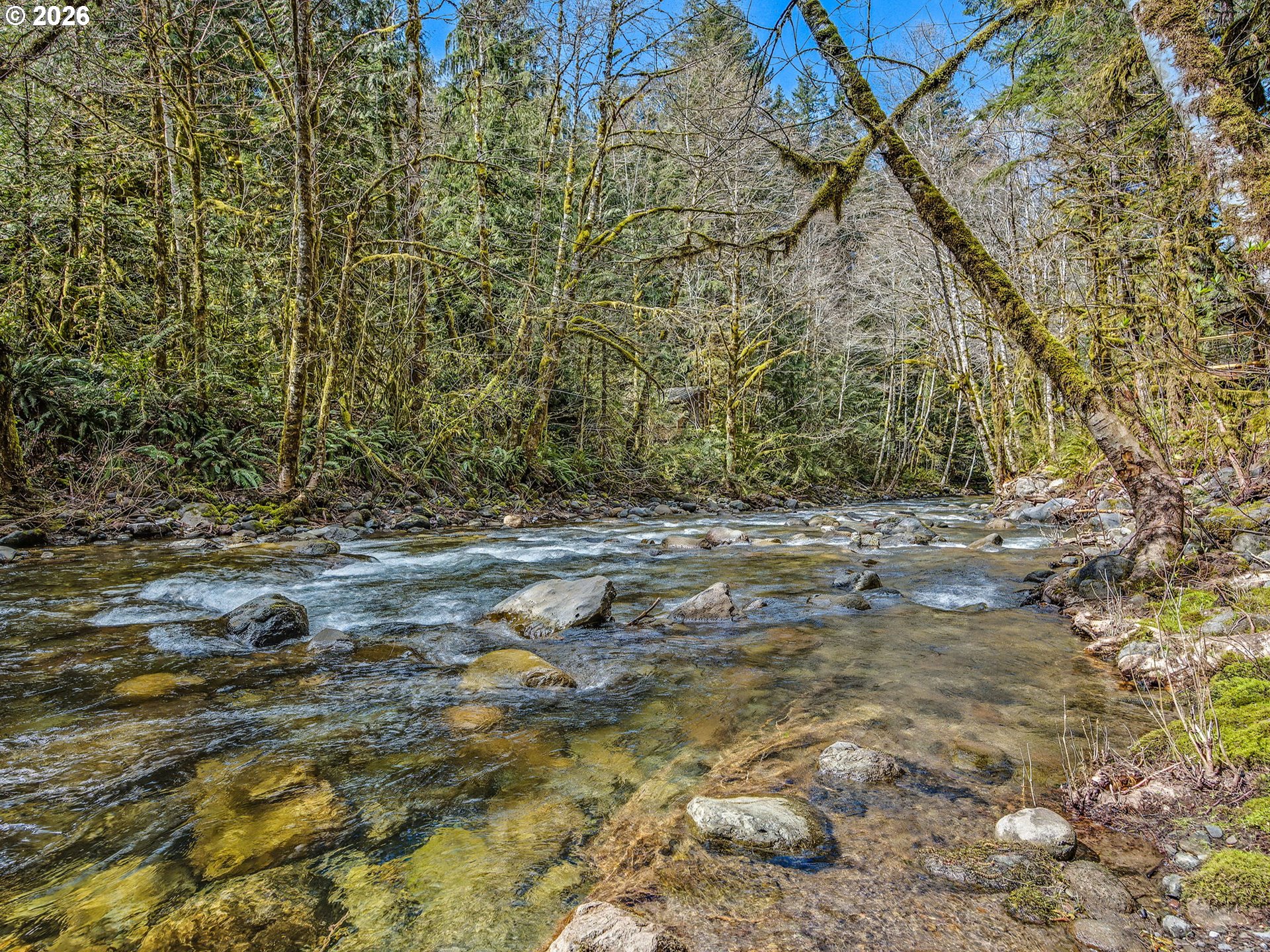26897 East Road 15 Rhododendron, OR 97049 - Photo 33 of 38 Gallery Image 33