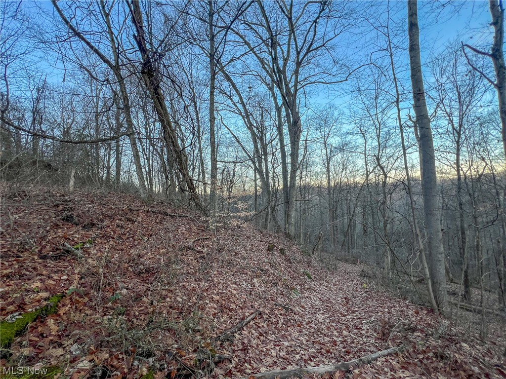 44886 Ludolph Ridge Road New Matamoras, OH 45767 - Photo 27 of 42 View of nature