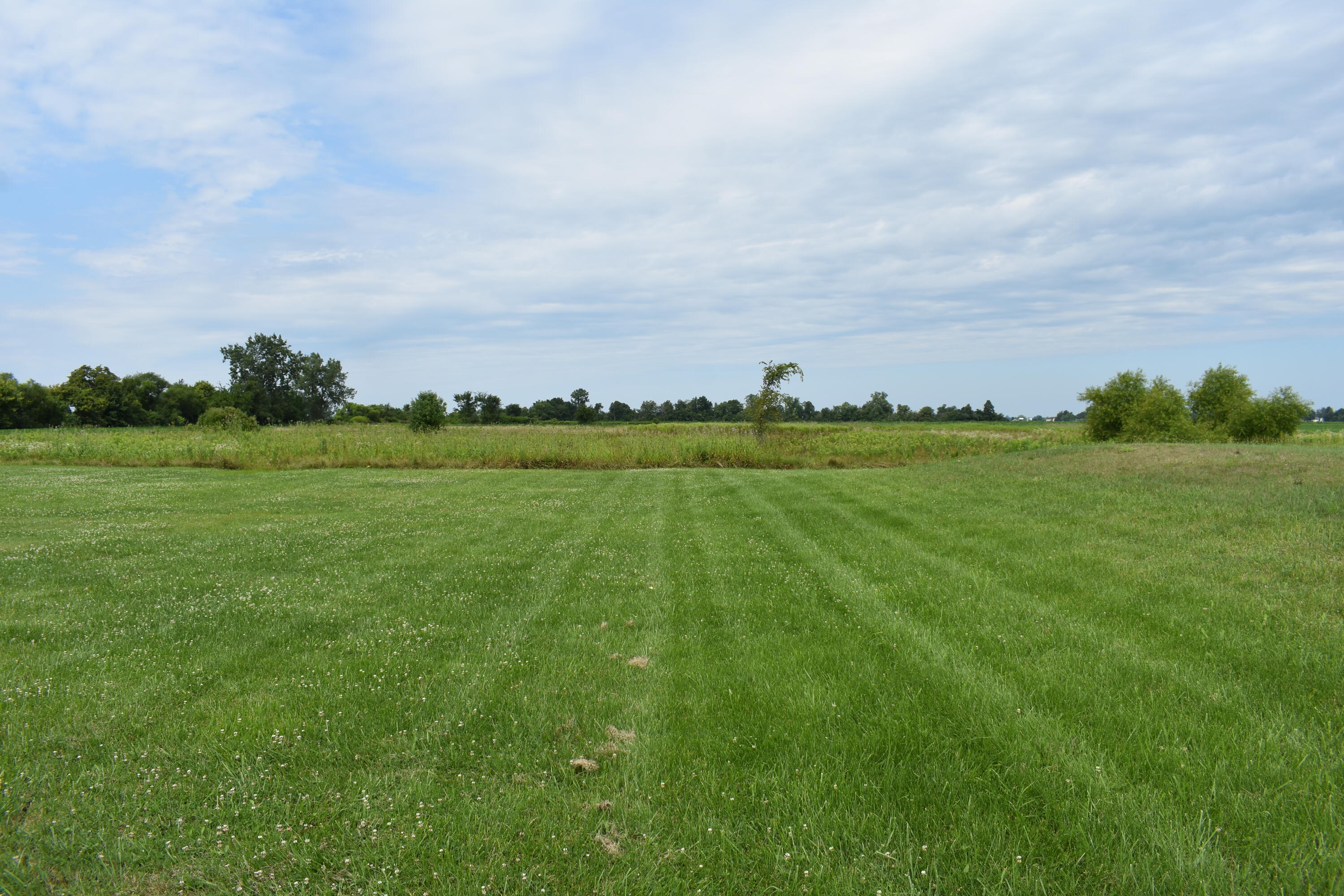 12185 Dennison Road Milan, MI 48160 - Photo 28 of 32 DSC_0145