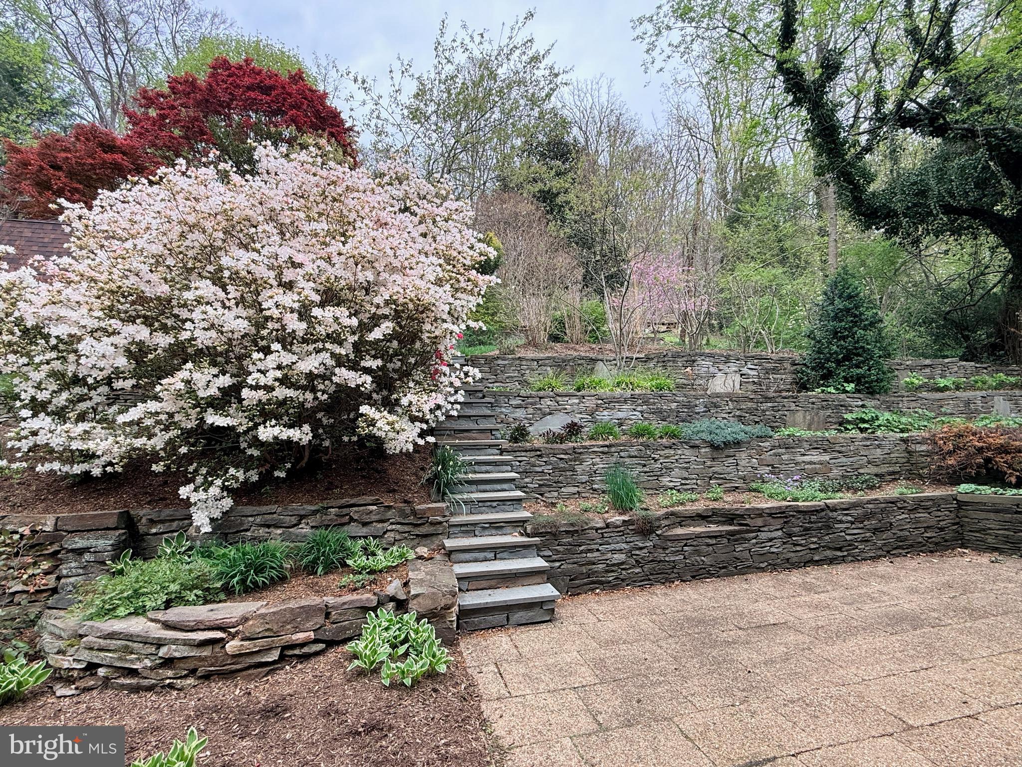 511 Edgevale Road Baltimore, MD 21210 - Photo 5 of 6