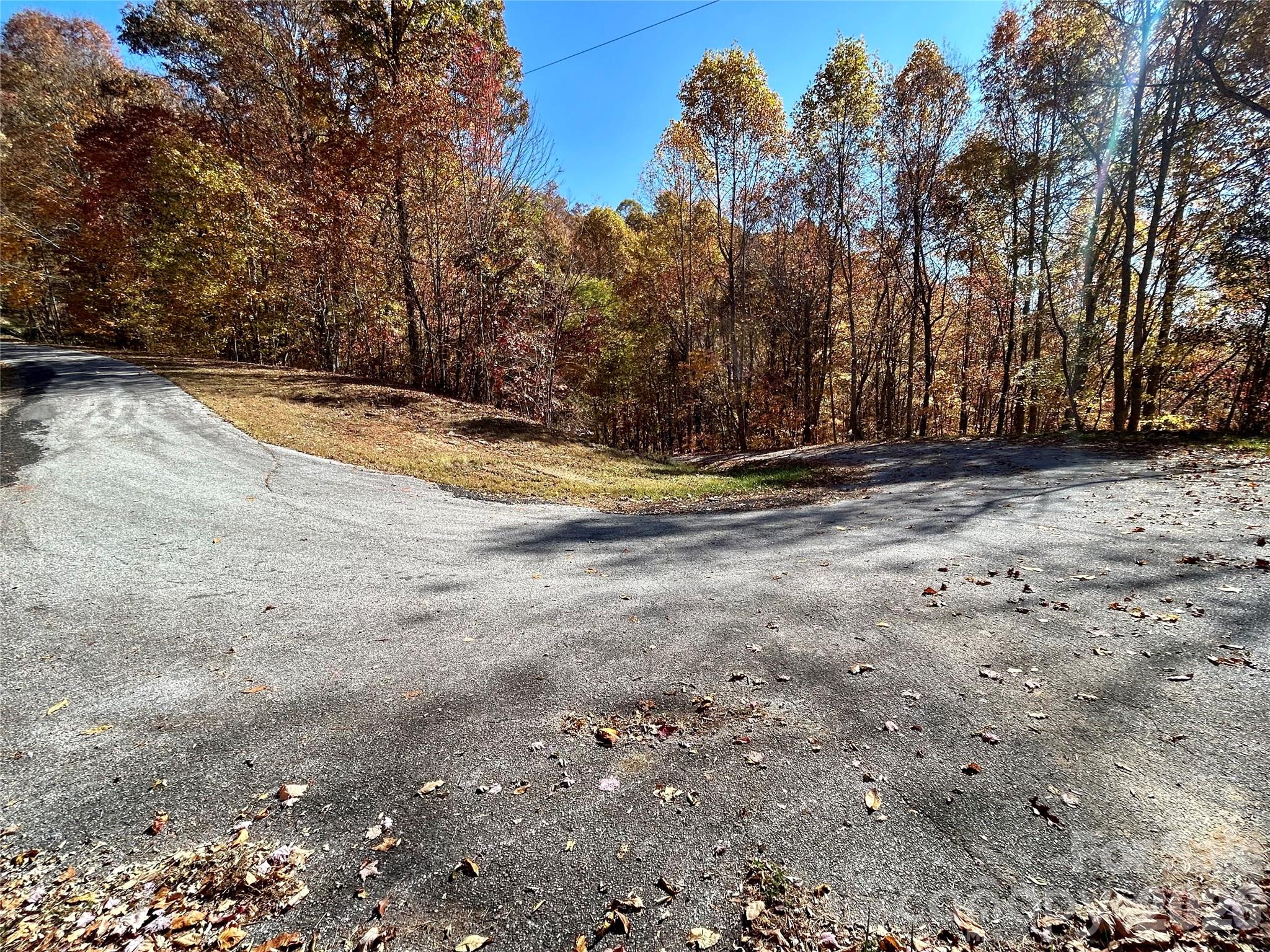 0 Grizzly Ridge, Unit 57 Bryson City, NC 28713 - Photo 2 of 5 a view of a backyard with large trees