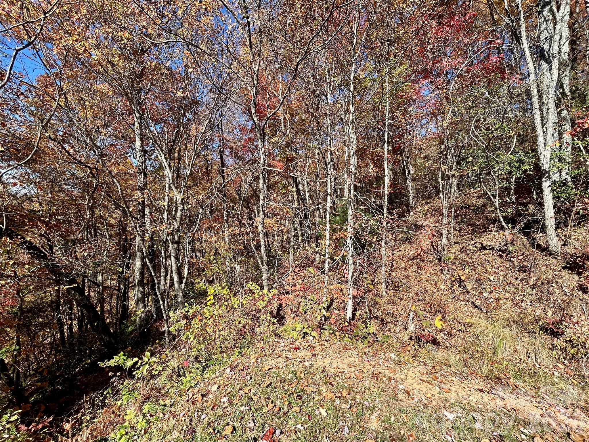0 Grizzly Ridge, Unit 57 Bryson City, NC 28713 - Photo 3 of 5 a view of a yard