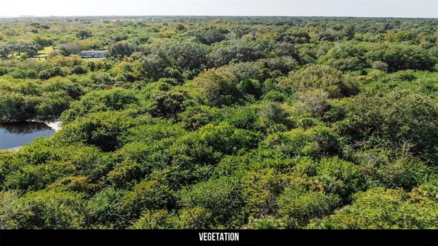 a view of a green field
