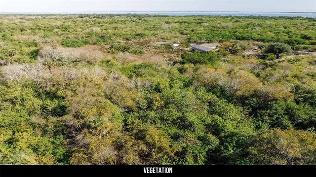 an aerial view of forest