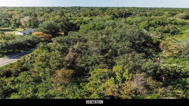 a view of a forest with a street