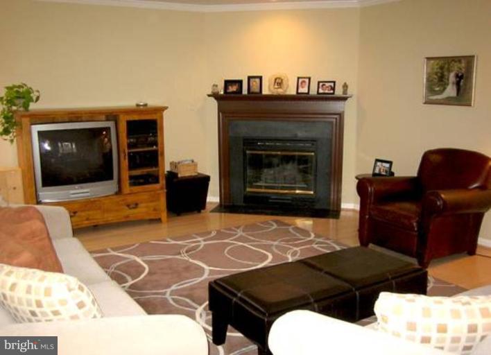 311 Ridgepoint Place Gaithersburg, MD 20878 - Photo 3 of 30 Living Room & Corner Fireplace