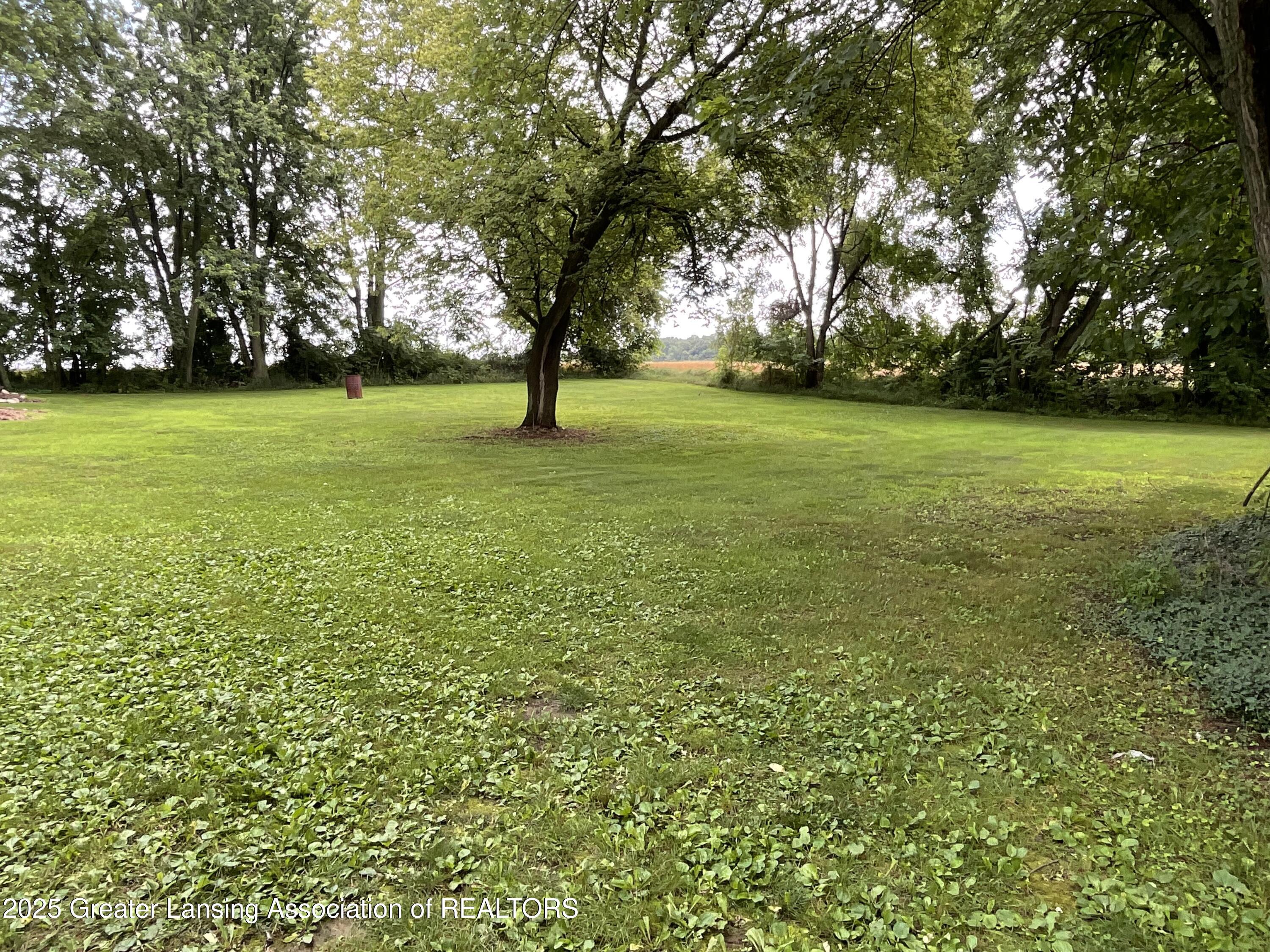 315 Oyer Street Springport, MI 49284 - Photo 25 of 27 IMG_4302