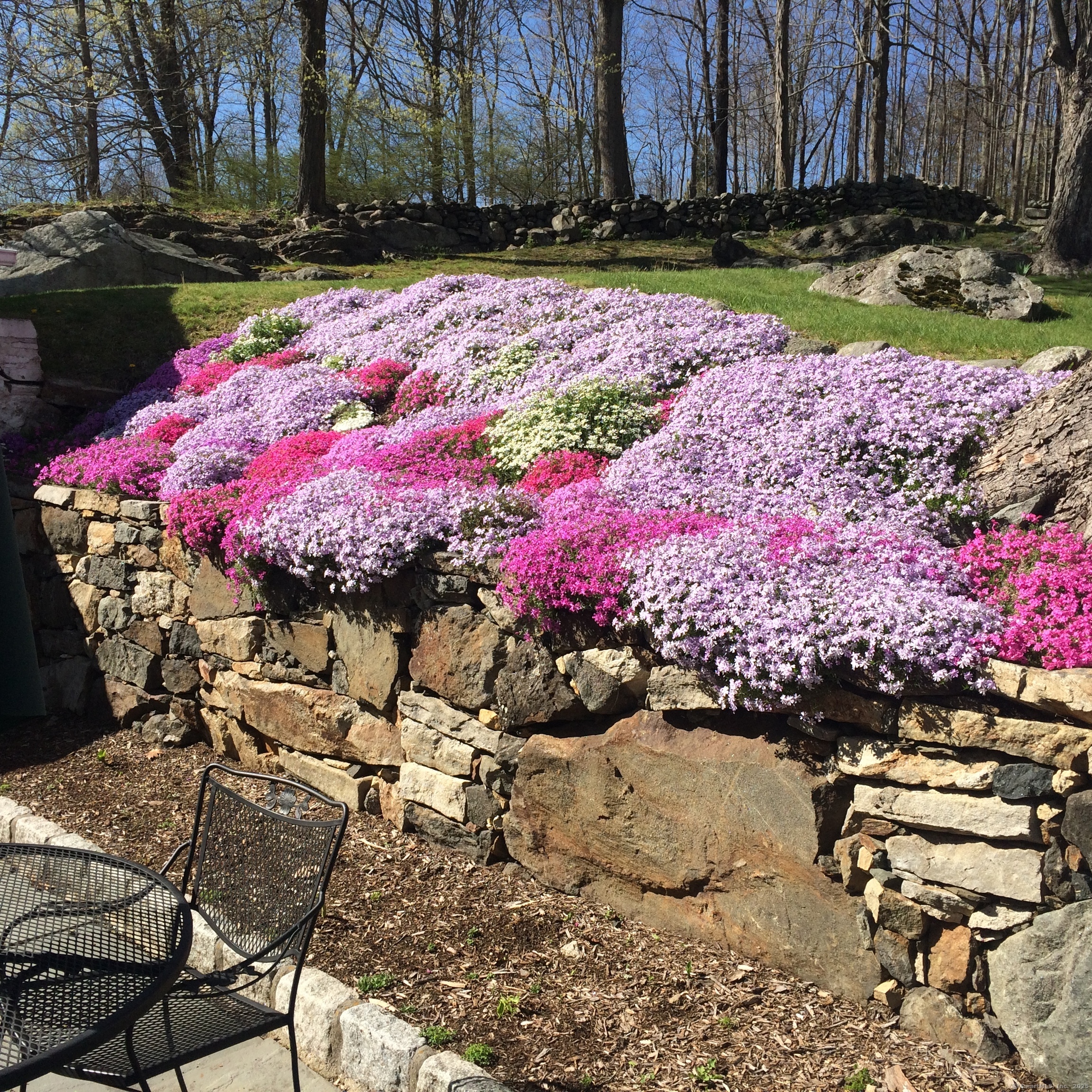 45 Great Pasture Road Redding, CT 06896 - Photo 30 of 39 Flowering hill