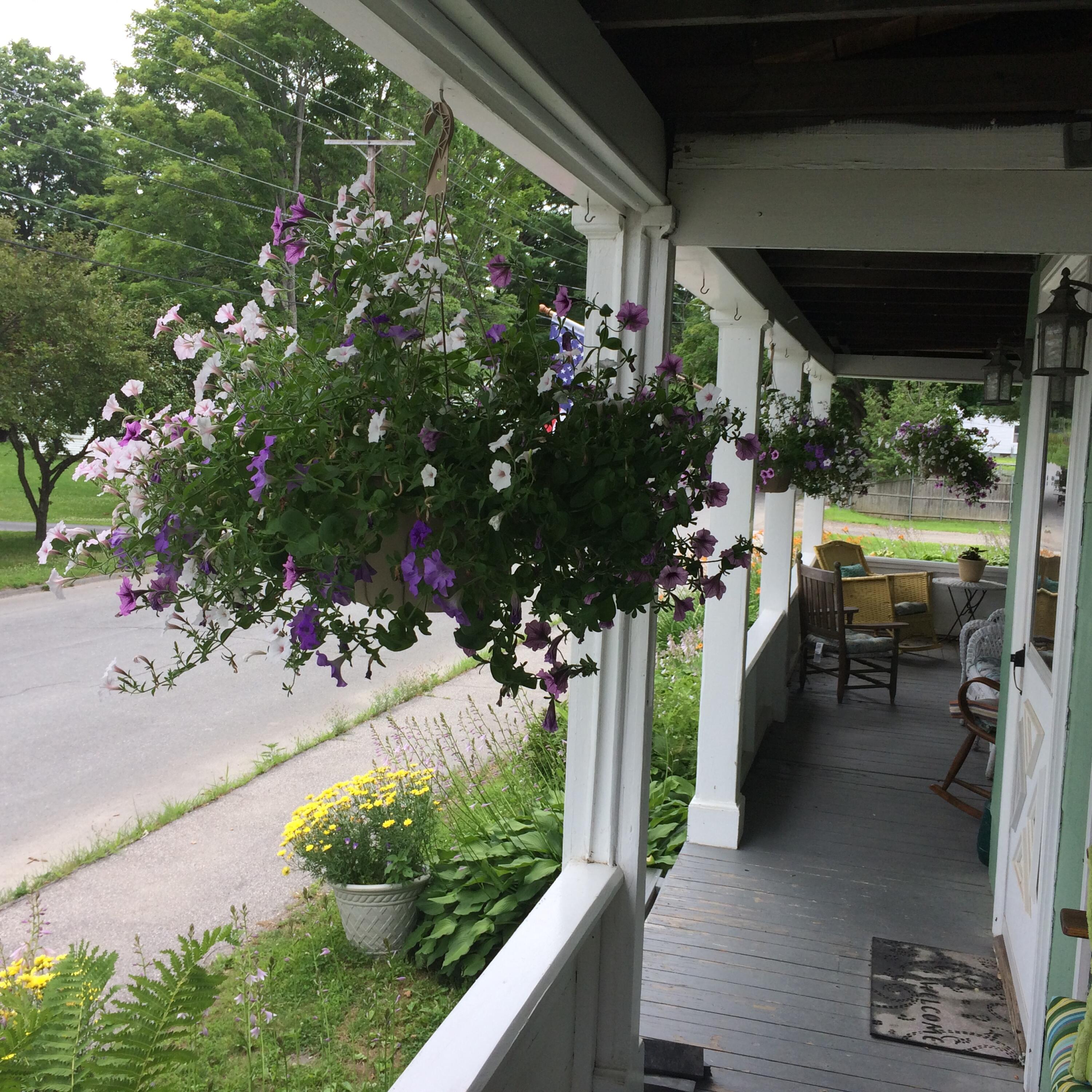 38 Spring Street Old Town, ME 04468 - Photo 40 of 43 IMG_1609