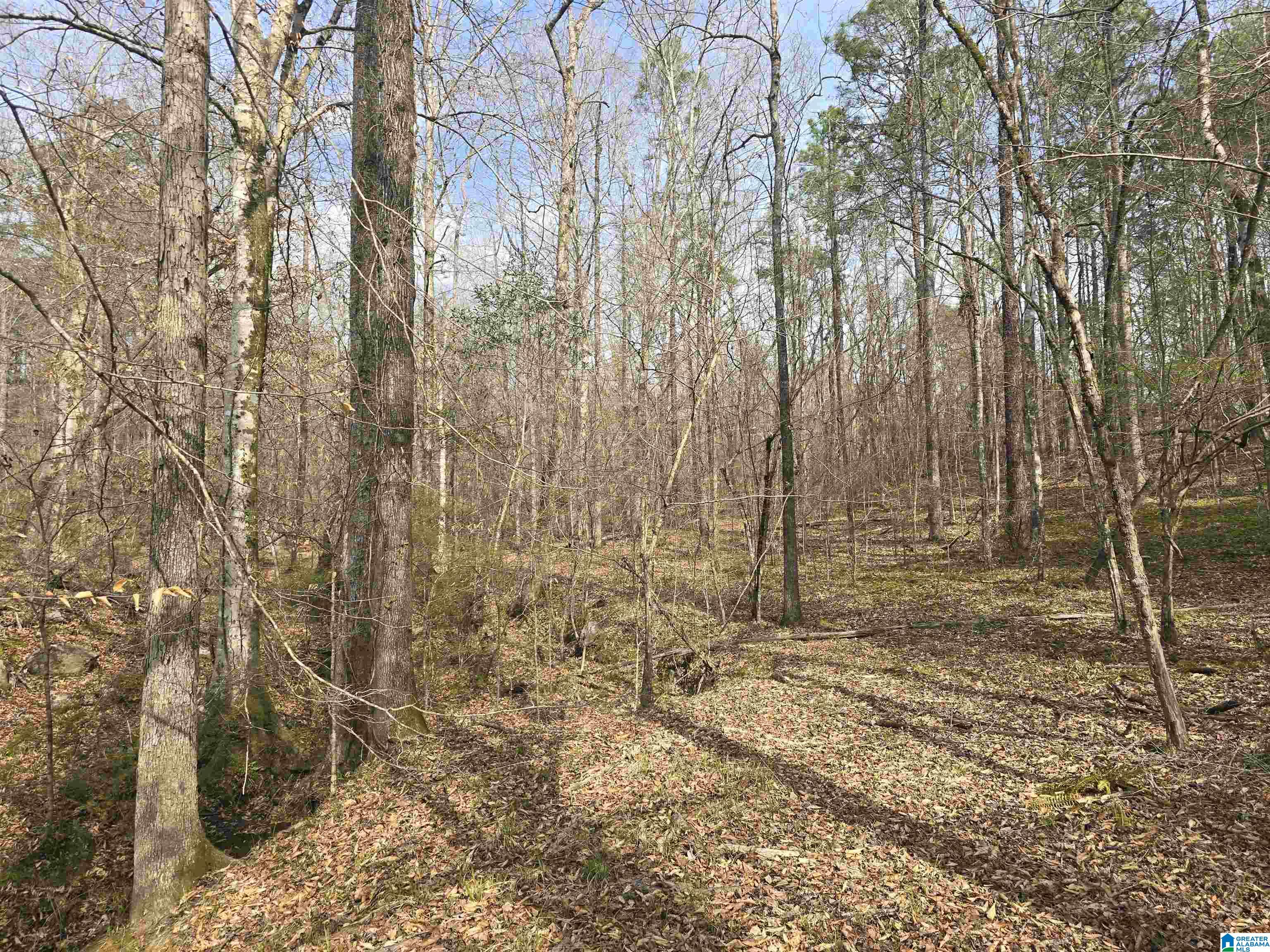 354 Springwell Road Rockford, AL 35136 - Photo 9 of 68