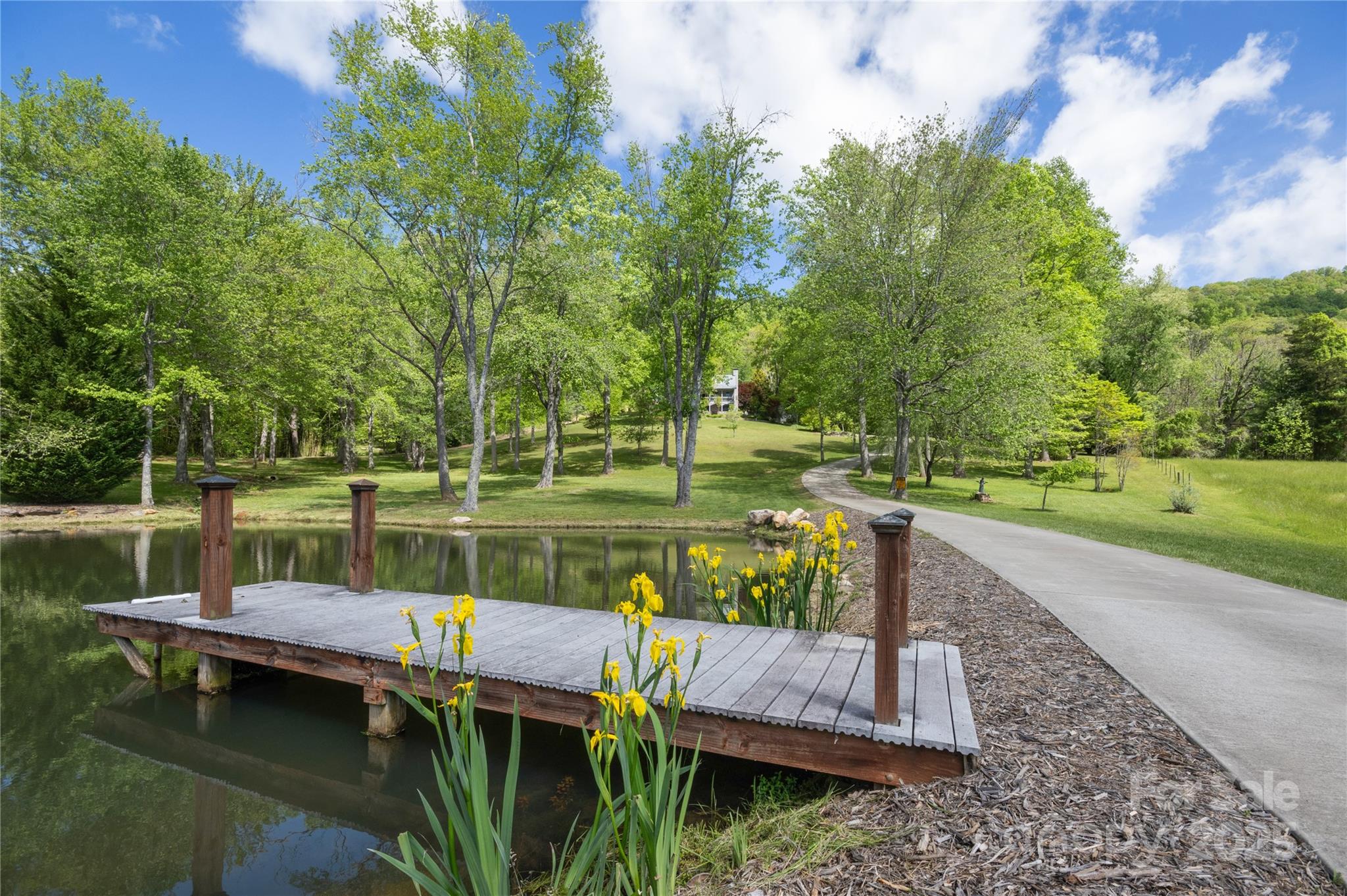 116 Sams Branch Road Candler, NC 28715 - Photo 5 of 47
