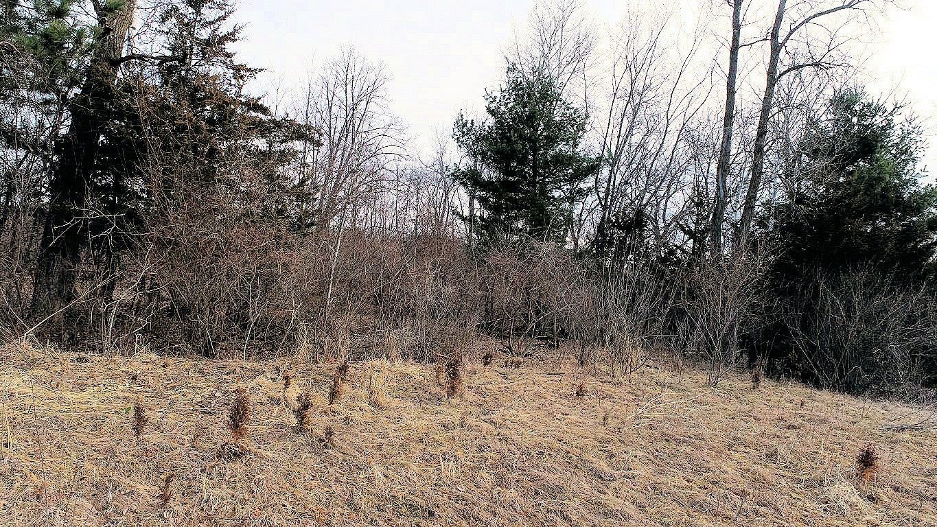 Lot 9 Hillside Wisconsin Dells, WI 53965 - Photo 33 of 39