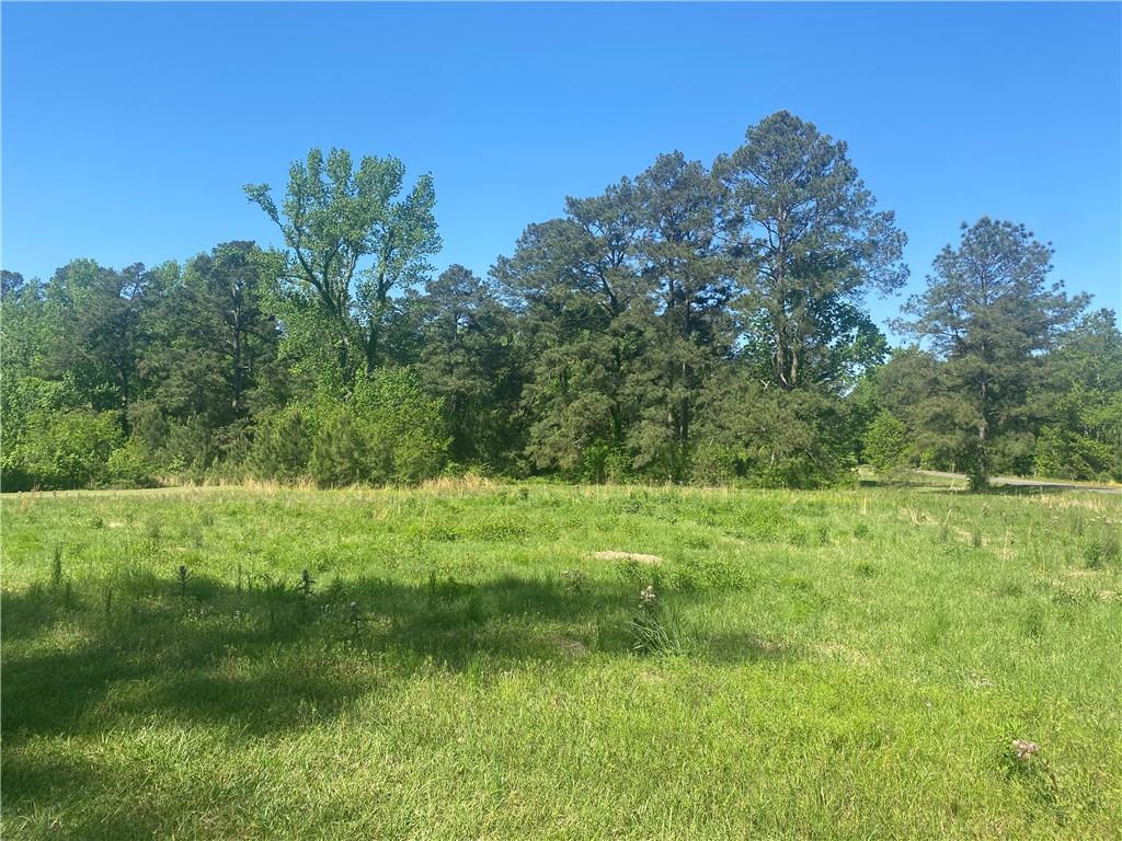 0 Palmer Chapel Road Pineville, LA 71360 - Photo 2 of 5