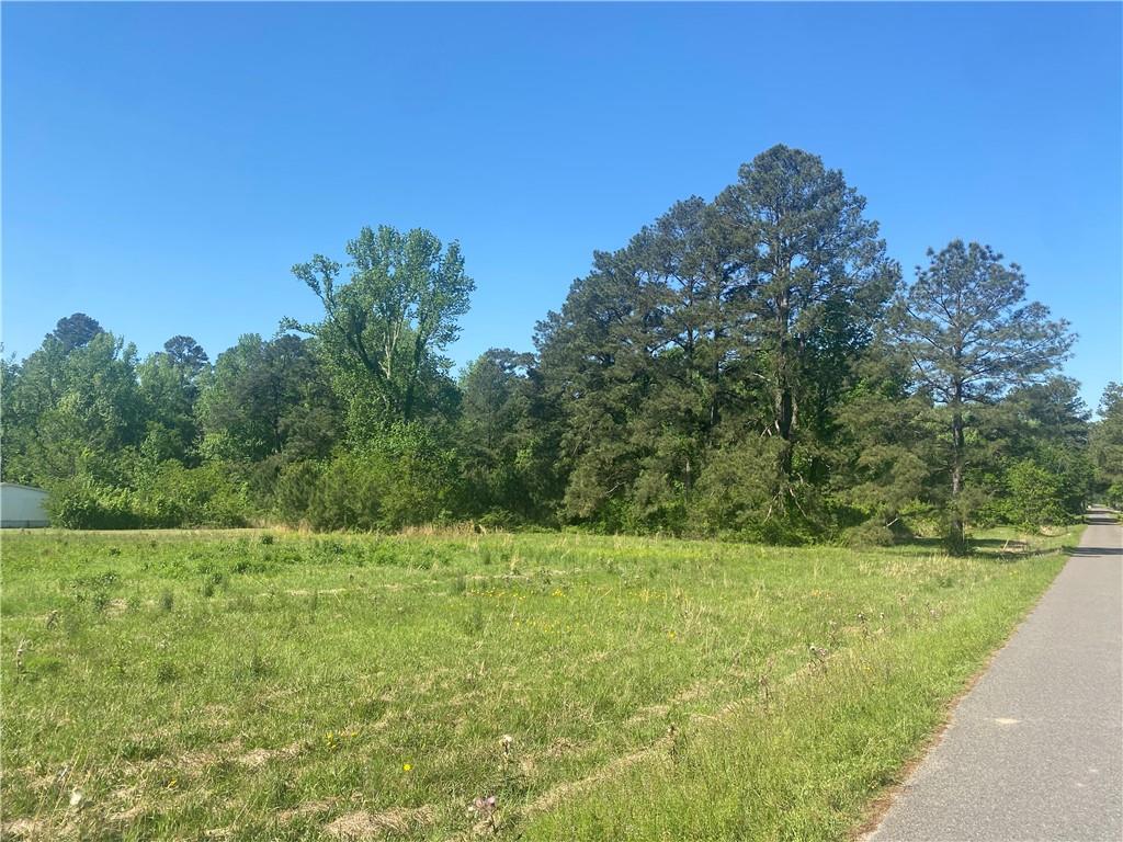 0 Palmer Chapel Road Pineville, LA 71360 - Photo 3 of 5