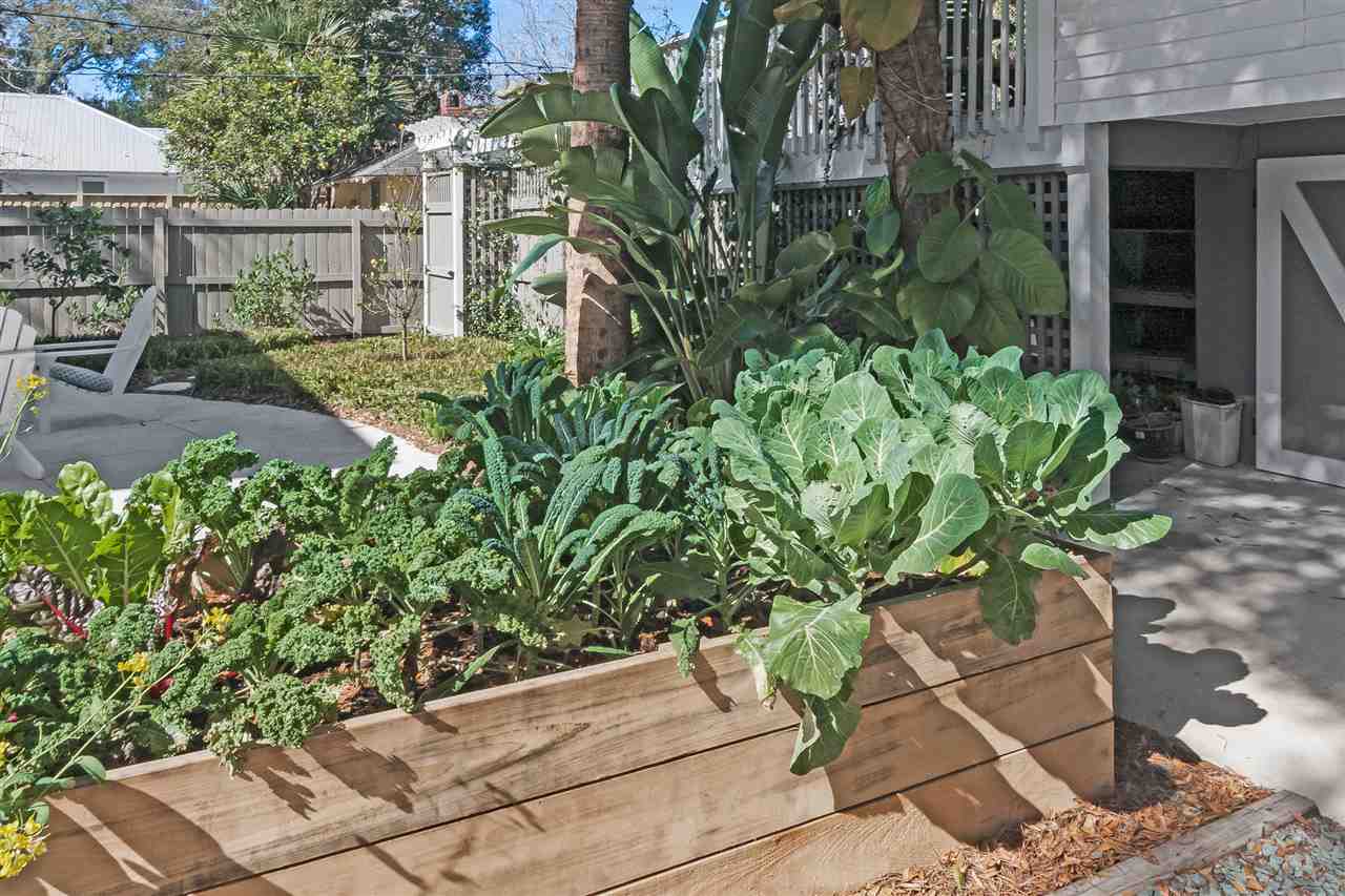 28 Rohde Avenue St. Augustine, FL 32084 - Photo 46 of 48 a plant in a garden with wooden fence